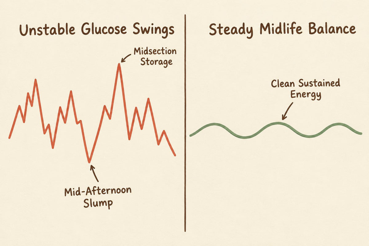 Simple, elegant 2D explanatory graphic with a clean off-white background and charcoal typography. Left curve: a jagged red line showing "Unstable Glucose Swings" with labels "Mid-Afternoon Slump" and "Midsection Storage"