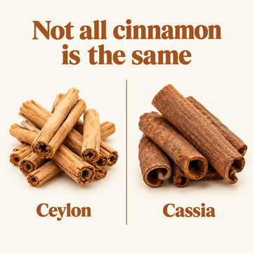 Not all cinnamon is the same: Ceylon quills next to Cassia bark